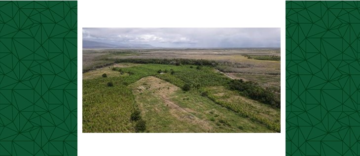 Finca Agraria en Duverge