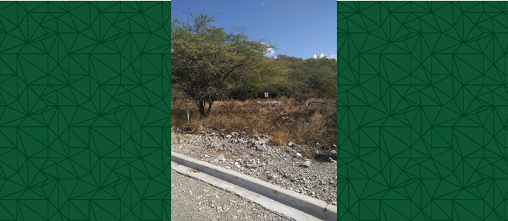 Solar Palmar de Ocoa